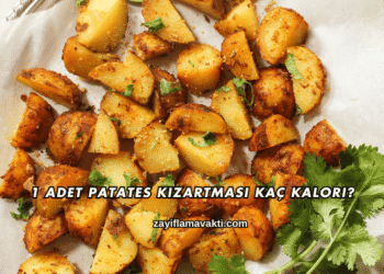 1 Adet Patates Kızartması Kaç Kalori?