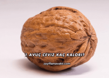 1 Avuç Ceviz Kaç Kalori?