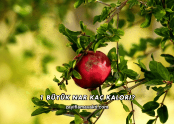 1 Büyük Nar Kaç Kalori?
