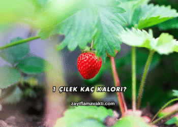 1 Çilek Kaç Kalori?