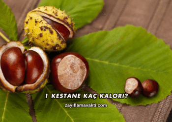 1 Kestane Kaç Kalori?