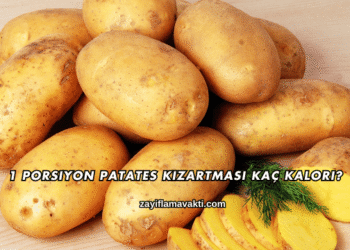 1 Porsiyon Patates Kızartması Kaç Kalori?