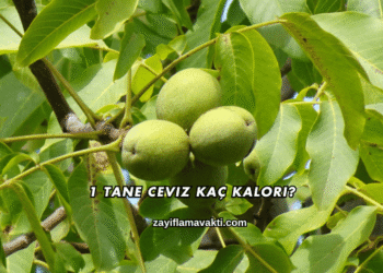 1 Tane Ceviz Kaç Kalori?