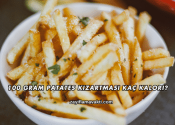 100 Gram Patates Kızartması Kaç Kalori?
