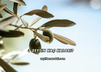 3 Zeytin Kaç Kalori?