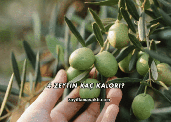 4 Zeytin Kaç Kalori?