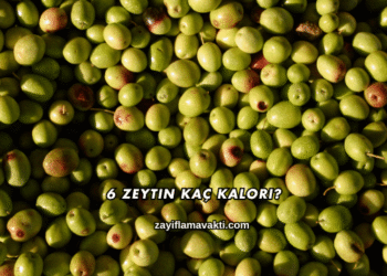 6 Zeytin Kaç Kalori?