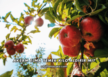 Akşam Elma Yemek Kilo Aldırır mı?