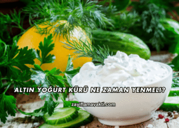 Altın Yoğurt Kürü Ne Zaman Yenmeli?