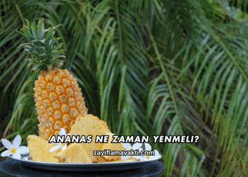Ananas Ne Zaman Yenmeli?