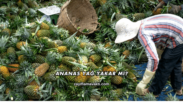 Ananas Yağ Yakar mı?