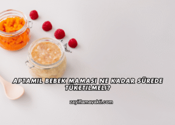Aptamil Bebek Maması Ne Kadar Sürede Tüketilmeli?
