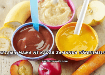 Aptamil Mama Ne Kadar Zamanda Tüketilmeli?