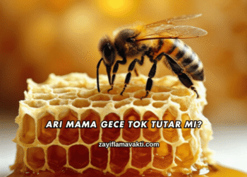 Arı Mama Gece Tok Tutar mı?