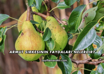 Armut Sirkesinin Faydaları Nelerdir?