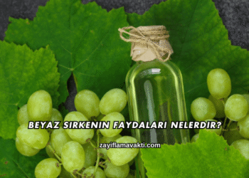 Beyaz Sirkenin Faydaları Nelerdir?
