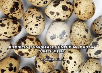 Bıldırcın Yumurtası Günlük Ne Kadar Tüketilmeli?