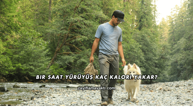 Bir Saat Yürüyüş Kaç Kalori Yakar?