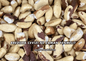 Brezilya Cevizi Ne Zaman Yenmeli?
