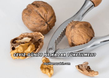 Ceviz Günde Ne Kadar Tüketilmeli?