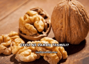 Ceviz Ne Zaman Yenmeli?