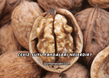 Ceviz Suyu Faydaları Nelerdir?