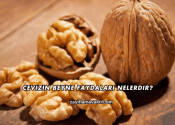 Cevizin Beyne Faydaları Nelerdir?