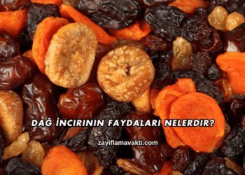 Dağ İncirinin Faydaları Nelerdir?