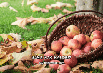 Elma Kaç Kalori?