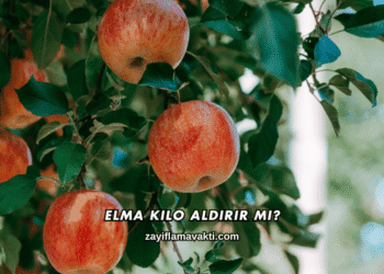 Elma Kilo Aldırır mı?