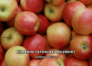 Elmanın Faydaları Nelerdir?