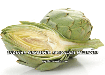 Enginar Sirkesinin Faydaları Nelerdir?