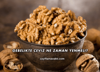 Gebelikte Ceviz Ne Zaman Yenmeli?
