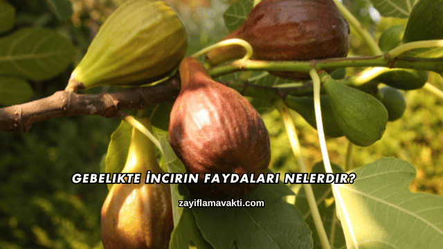 Gebelikte İncirin Faydaları Nelerdir?