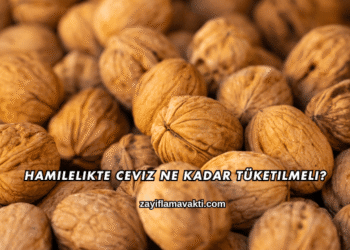 Hamilelikte Ceviz Ne Kadar Tüketilmeli?