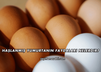 Haşlanmış Yumurtanın Faydaları Nelerdir?