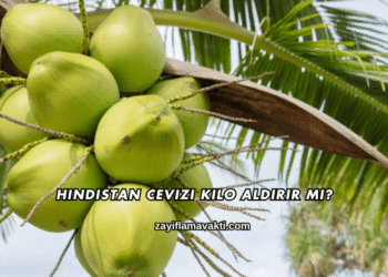 Hindistan Cevizi Kilo Aldırır mı?