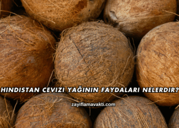 Hindistan Cevizi Yağının Faydaları Nelerdir?
