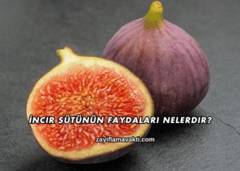 İncir Sütünün Faydaları Nelerdir?