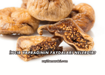 İncir Yaprağının Faydaları Nelerdir?