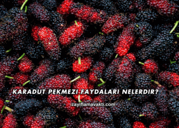 Karadut Pekmezi Faydaları Nelerdir?
