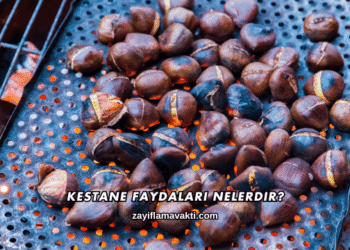 Kestane Faydaları Nelerdir?