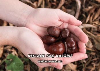 Kestane Kaç Kalori?