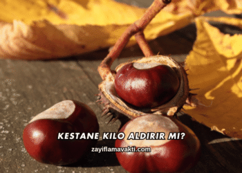 Kestane Kilo Aldırır mı?