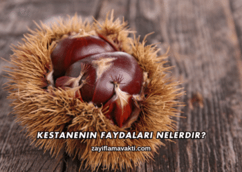 Kestanenin Faydaları Nelerdir?