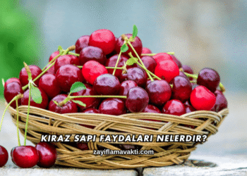 Kiraz Sapı Faydaları Nelerdir?