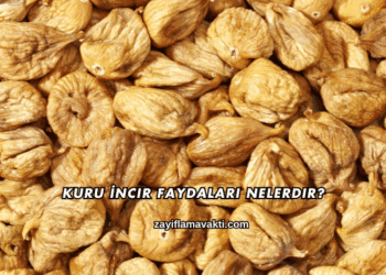 Kuru İncir Faydaları Nelerdir?