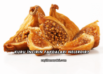 Kuru İncirin Faydaları Nelerdir?