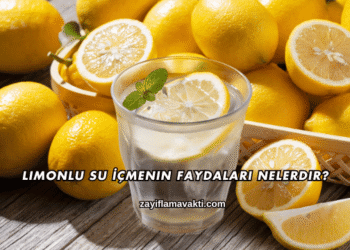 Limonlu Su İçmenin Faydaları Nelerdir?