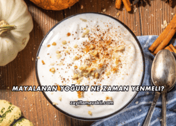 Mayalanan Yoğurt Ne Zaman Yenmeli?